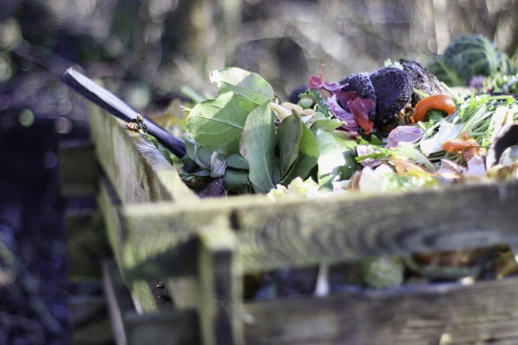 urban composting may be a solution to food waste for many people