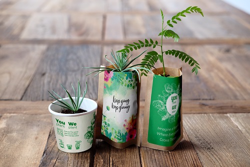 Party Pack Tree Growing Kit