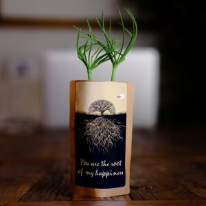 Root of Happiness Tree Growing Kit