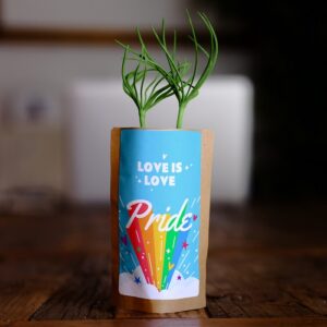 Pride Tree Growing Kit