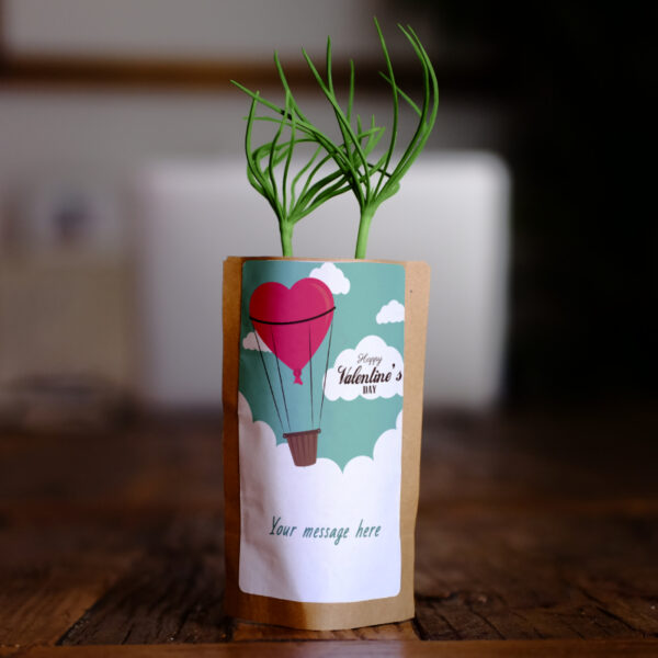 Valentine's Day Greeting Card- Tree Growing Kit