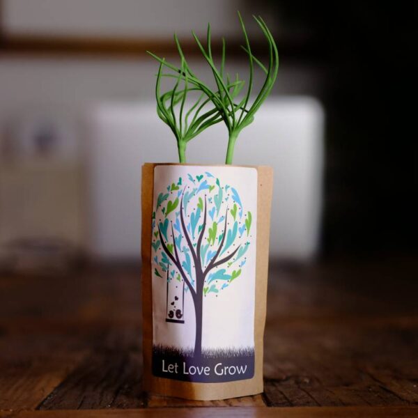 Valentine's Day Greeting Card- Tree Growing Kit