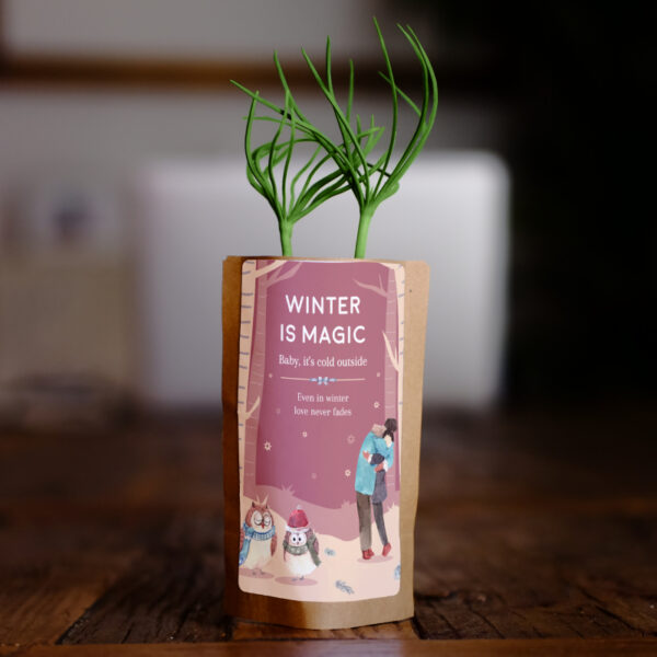 Winter is Magic tree growing kit